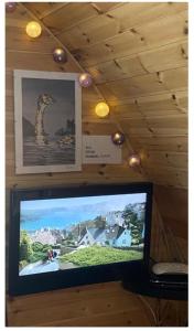 洛哈尔什教区凯尔高地Heatherbrae Cosy Wooden Pod的墙上挂着长颈鹿照片的电视
