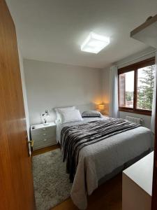 格拉玛多Flat Gramado Home Sweet Home的一间卧室设有一张大床和一个窗户。