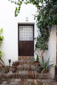 塞维利亚Casa del siglo XVII的白色建筑中一扇门,有盆栽植物