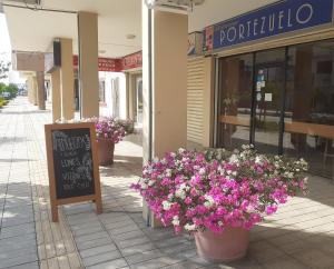 马查拉Hostal Solar Del Puerto的商店前有盆栽花的商店