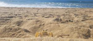 乌巴图巴Manacá Suítes Prumirim的沙滩上的一堆沙子