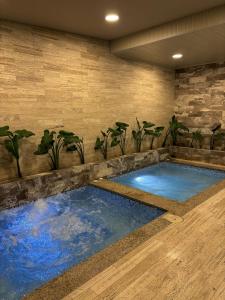 里奥班巴Spa皇家金堡酒店的植物间的一个游泳池