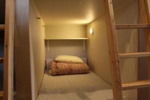 东京Hostel Wasabi Asakusa的一间小卧室,内设一张双层床