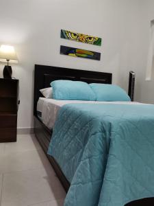 圣何塞935 Lodge San José的一间卧室配有一张带蓝色枕头的床
