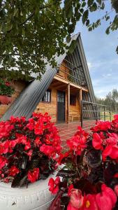 杜伊塔马Chalet Villa Ines un paraiso en las montañas的一群红色的花在房子前面