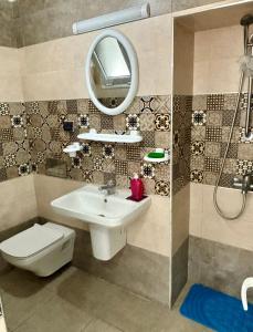马赫迪耶MAHDIA BORJ ERRAS (CAP AFRICA)的一间带水槽、卫生间和镜子的浴室