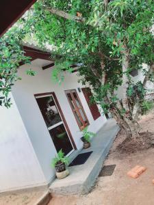 阿努拉德普勒JD Resort的两棵盆栽植物的白色房子