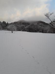 青森Tanehachi Farm Guesthouse - Vacation STAY 29709v的雪地覆盖着脚印