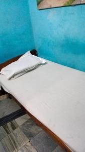 加尔各答Khaja Hotel的蓝色墙壁的房间里一张白色的床