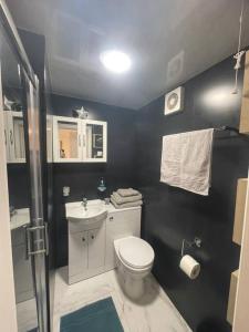 剑桥Adorable 1-bedroom entire place with free parking的一间带卫生间和水槽的浴室