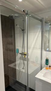 羊角村德佩尔戈拉酒店的一个带水槽的玻璃淋浴间