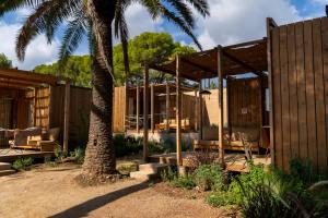 莱斯卡瑟斯-达尔卡纳Alfacs Village的棕榈树正在建造的房子