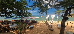 考陶Boonsong Guest House的海滩上设有椅子和遮阳伞,还有大海