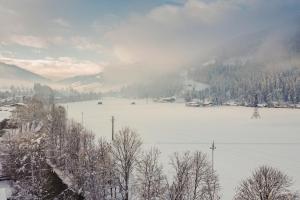 基茨比厄尔附近奥拉赫Alte Bildhauerei的一片覆盖着树木和山脉的雪地