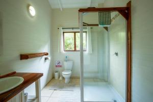 Ponta MalanganeMar Azul 1B的带淋浴和卫生间的浴室
