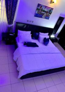 Specfield Court And Apartment Sun City的一间卧室配有一张紫色照明的大床