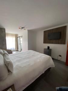 肯普顿帕克Hotel El Infinito的卧室配有一张白色大床和电视。