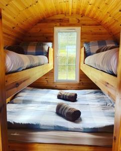 CampCoach Field Camp的小木屋设有两张双层床,配有窗户