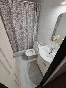 阿里卡Departamento Frente al Casino Luckia 3H 2B的浴室设有卫生间、水槽和淋浴帘