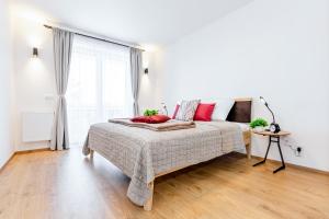 伏尔塔瓦河畔利普诺KORZO Family的一间卧室配有一张带红色枕头的床和一扇窗户