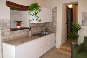 维托里奥·威尼托Residence Porta Della Muda的厨房配有水槽和墙上的植物