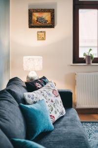 德累斯顿Apartment Maria Luisa的客厅配有带枕头的蓝色沙发