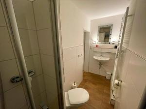 Groß Sarau诺比斯克鲁格酒店的一间带卫生间和水槽的小浴室