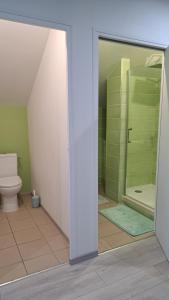 于塞勒CHAMBRES D HÔTES CHEZ SYLVIE et Daniel的一间带卫生间和玻璃淋浴间的浴室