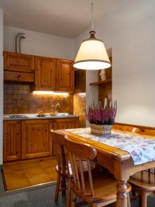 马库尼亚加Residence Cima Jazzi的厨房配有木桌、椅子和安乐灯