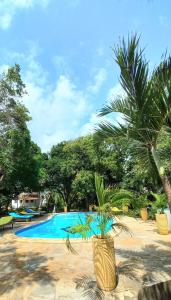 瓦塔穆Bamba Kofi Tented Camp的游泳池旁的棕榈树