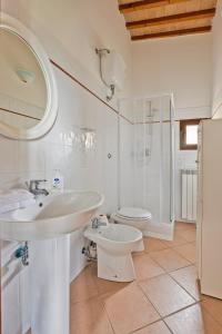 圣吉米纳诺Fattoria La Torre的白色的浴室设有水槽和卫生间。