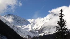 马尔尼茨Alpengasthof Gutenbrunn的山地的雪覆盖着一棵树