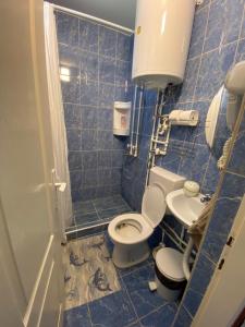 索科矿泉村Apartmani Milojić的蓝色瓷砖浴室设有卫生间和水槽