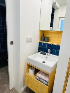 里斯本Castle cozy apartment的一间带水槽和镜子的浴室