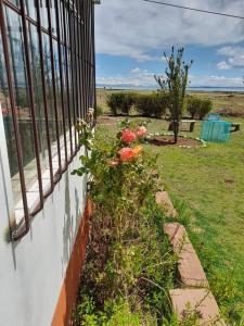 DesaguaderoCasa Ymelda的房屋一侧有花的围栏