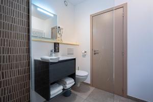 巴斯托涅Appart hôtel En Ville的一间带卫生间、水槽和镜子的浴室