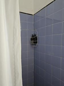 库拉布罗切罗镇Casa Regino的蓝色瓷砖浴室设有浴帘