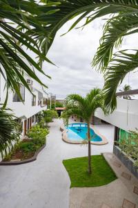 阿约拉港Hotel Pelican Bay的一个带游泳池和棕榈树的庭院