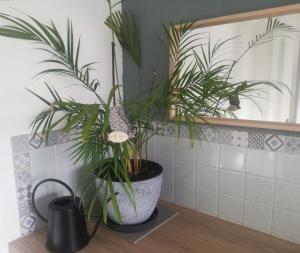 坎佩尔Sweet home en plein coeur de Quimper的浴室内两株位于柜台上的植物