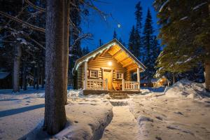 班夫Storm Mountain Lodge & Cabins的雪中的一个小木屋