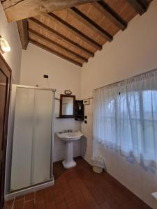 阿雷佐沃尔皮餐厅酒店的一间带水槽和淋浴的浴室