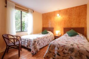 安加罗阿Cabaña Vaenga Miro的一间卧室设有两张床、一把椅子和一个窗户。