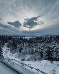 亚布卢尼齐亚霍克兰德酒店的享有积雪覆盖的森林和树木的景色