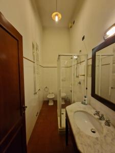 阿雷佐沃尔皮餐厅酒店的一间带水槽、淋浴和卫生间的浴室