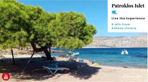 雅典Cordelia的水中有一棵树和一条船的海滩