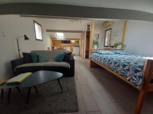 普罗旺斯地区阿莱马尼Le Petit Grillo - Gite proche des gorges du Verdon的客厅配有床和沙发