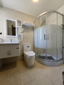蒙特港Hotel Vista Mar的带淋浴、卫生间和盥洗盆的浴室