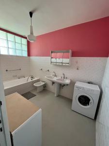 DamprichardVilla 18.78, 10 min de la Suisse的一间带洗衣机和水槽的浴室