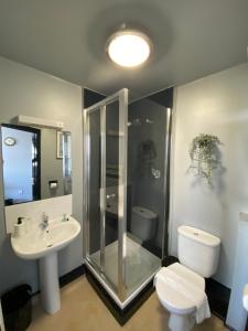 滨海韦斯顿Bay view rooms at Mentone Hotel的带淋浴、卫生间和盥洗盆的浴室