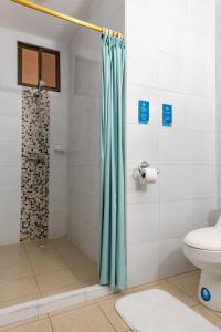 阿约拉港Hotel Pelican Bay的带淋浴帘和卫生间的浴室